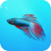 Wallpapers Animal for your screen in HD